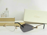 Cartier Sunglasses AAA (442)