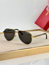 Cartier Sunglasses AAA (2704) Cartier Sunglasses AAA (2704)