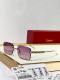 Cartier Sunglasses AAA (3514)