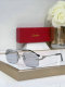 Cartier Sunglasses AAA (1510)