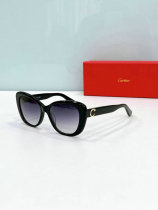 Cartier Sunglasses AAA (1552) Cartier Sunglasses AAA (1552)