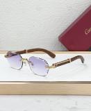 Cartier Sunglasses AAA (2008)