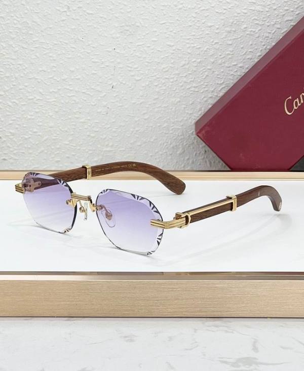 Cartier Sunglasses AAA (2008)