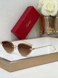 Cartier Sunglasses AAA (3005)