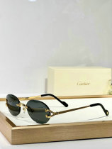 Cartier Sunglasses AAA (1040) Cartier Sunglasses AAA (1040)
