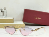 Cartier Sunglasses AAA (879)