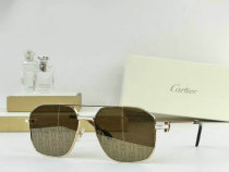 Cartier Sunglasses AAA (700) Cartier Sunglasses AAA (700)