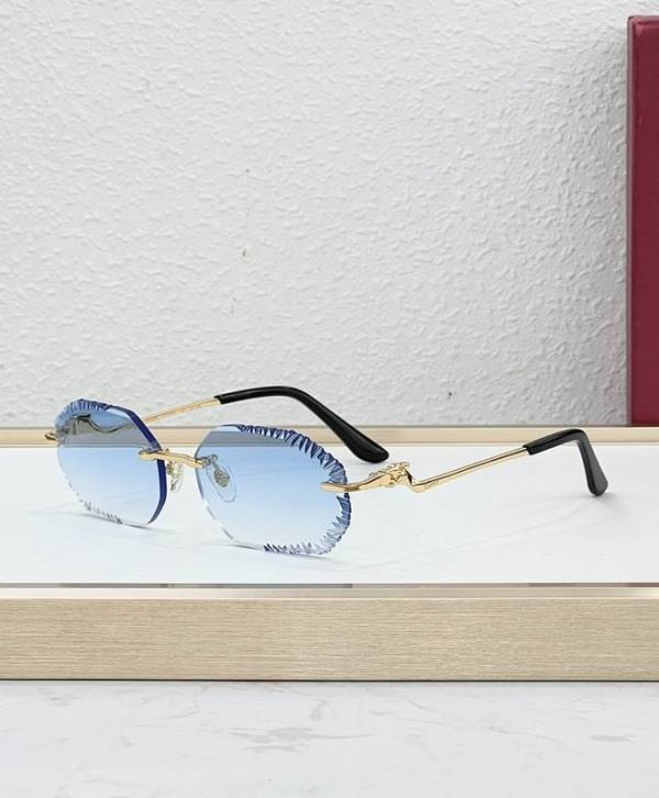 Cartier Sunglasses AAA (2006)
