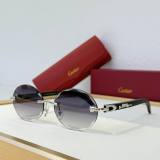 Cartier Sunglasses AAA (2074)