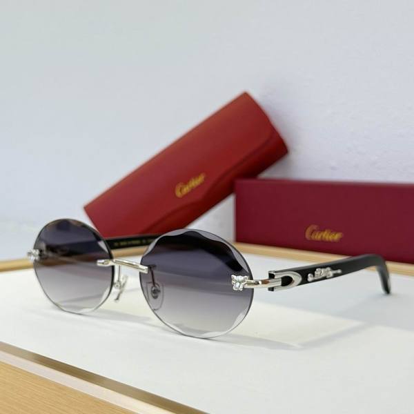 Cartier Sunglasses AAA (2074)