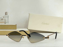 Cartier Sunglasses AAA (450) Cartier Sunglasses AAA (450)
