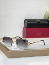 Cartier Sunglasses AAA (774) Cartier Sunglasses AAA (774)