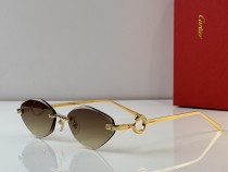 Cartier Sunglasses AAA (2684) Cartier Sunglasses AAA (2684)
