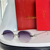 Cartier Sunglasses AAA (1599)
