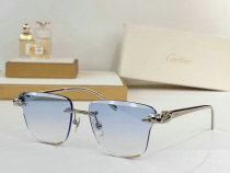 Cartier Sunglasses AAA (1625) Cartier Sunglasses AAA (1625)