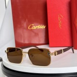 Cartier Sunglasses AAA (3027)