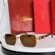 Cartier Sunglasses AAA (3027)