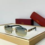 Cartier Sunglasses AAA (2067)