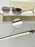 Cartier Sunglasses AAA (2256)