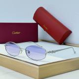 Cartier Sunglasses AAA (2048)