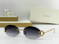 Cartier Sunglasses AAA (78)