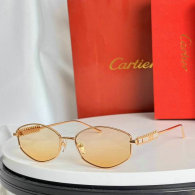 Cartier Sunglasses AAA (81)