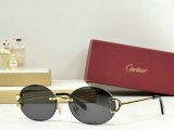 Cartier Sunglasses AAA (1012)