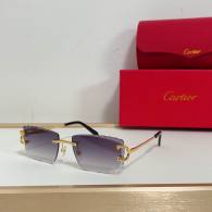 Cartier Sunglasses AAA (3729)