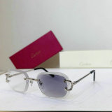 Cartier Sunglasses AAA (172)