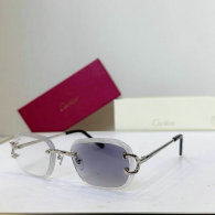 Cartier Sunglasses AAA (172)