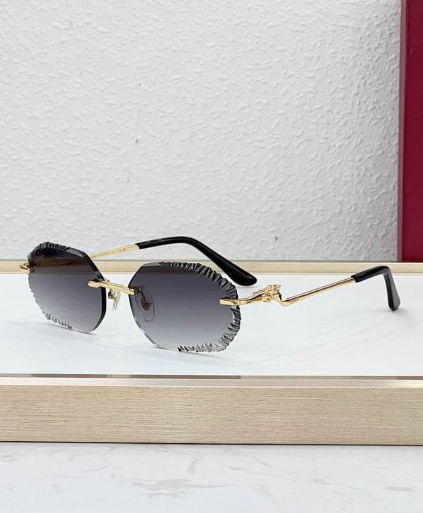 Cartier Sunglasses AAA (2001)