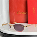 Cartier Sunglasses AAA (309)