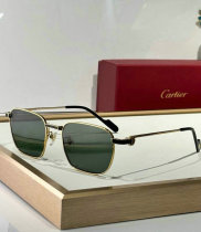 Cartier Sunglasses AAA (500) Cartier Sunglasses AAA (500)