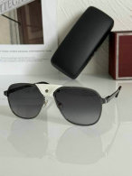 Cartier Sunglasses AAA (279)