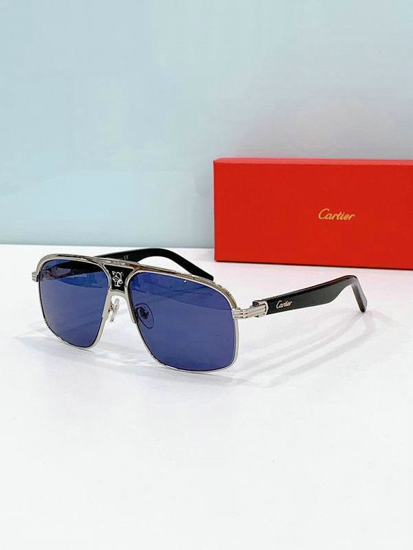 Cartier Sunglasses AAA (594)