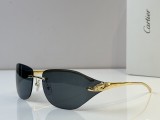 Cartier Sunglasses AAA (2799)