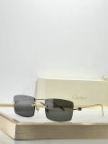Cartier Sunglasses AAA (359)
