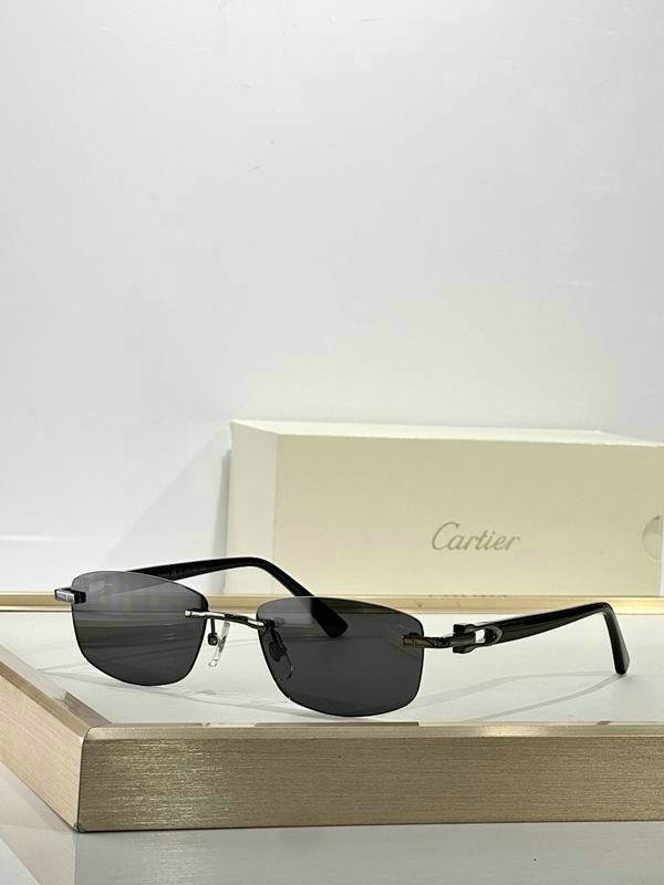 Cartier Sunglasses AAA (491)