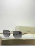 Cartier Sunglasses AAA (127)