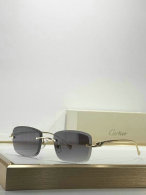 Cartier Sunglasses AAA (127)