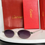 Cartier Sunglasses AAA (1447)