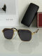 Cartier Sunglasses AAA (391)