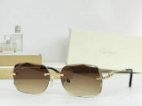 Cartier Sunglasses AAA (425)