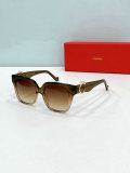 Cartier Sunglasses AAA (1577)