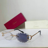Cartier Sunglasses AAA (44)