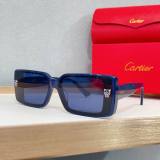 Cartier Sunglasses AAA (1964)