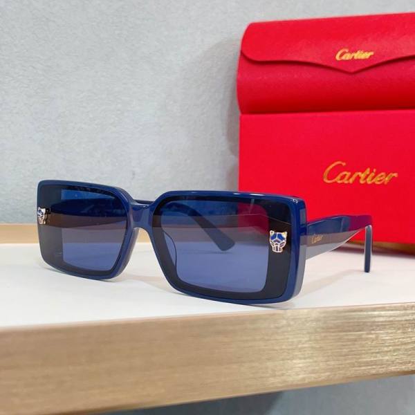 Cartier Sunglasses AAA (1964)