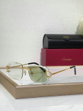 Cartier Sunglasses AAA (1250)