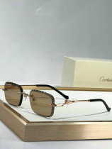 Cartier Sunglasses AAA (785) Cartier Sunglasses AAA (785)