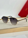 Cartier Sunglasses AAA (1535)